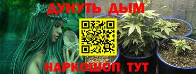 дурь Будённовск