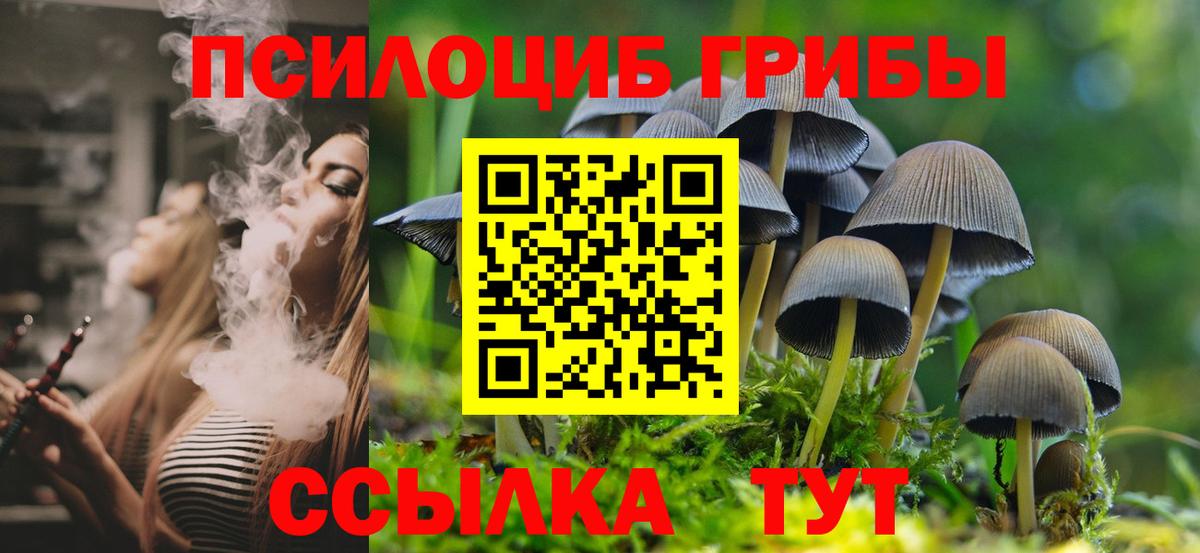 Галлюциногенные грибы MAGIC MUSHROOMS  Вход с VPN  Галлюциногенные грибы прущие грибы  Советская Гавань 